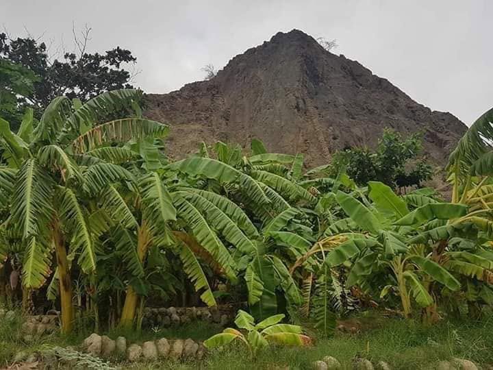 الخَرْبة.. واحة خضراء على تخوم المكلا وملاذ لعشاق الطبيعة