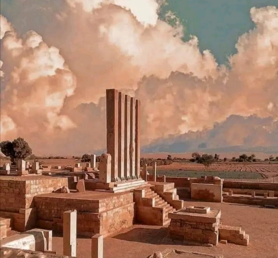 مأرب