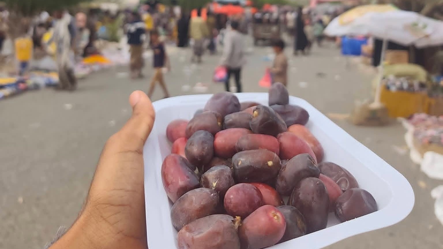 خريف حجر.. حين تروي النخلة حكاية الأرض ويزهر التراث بالحياة